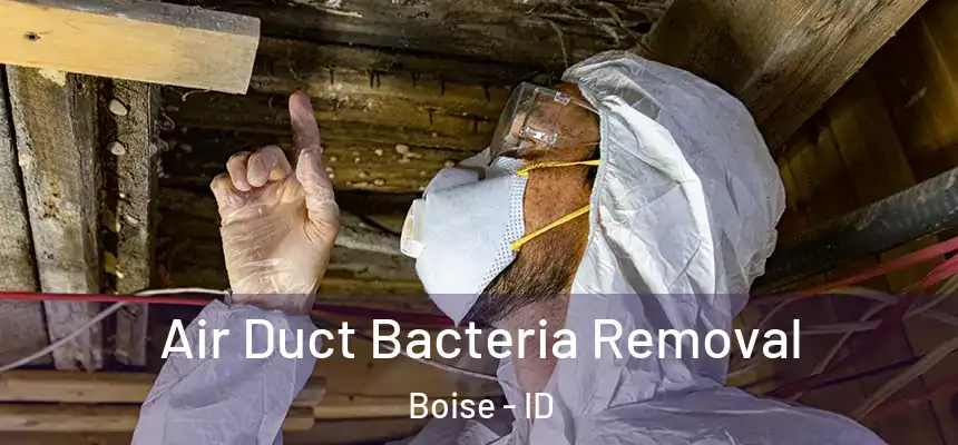  Air Duct Bacteria Removal Boise - ID