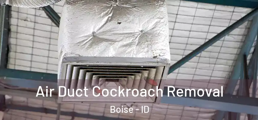  Air Duct Cockroach Removal Boise - ID
