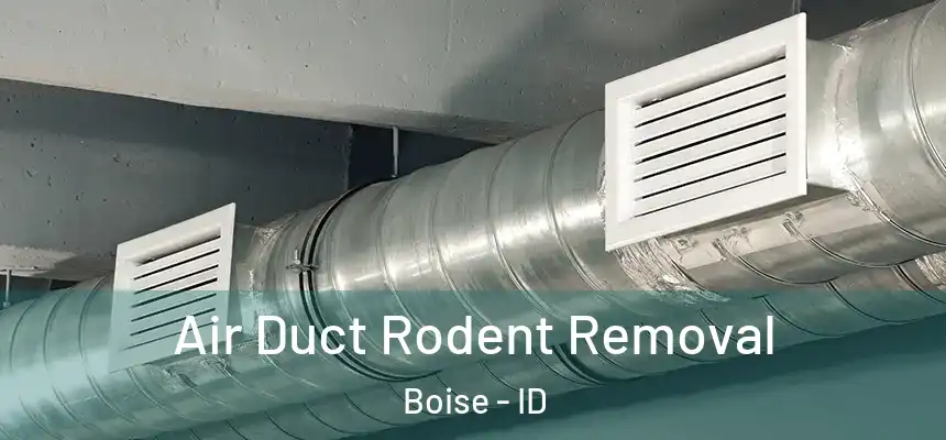  Air Duct Rodent Removal Boise - ID