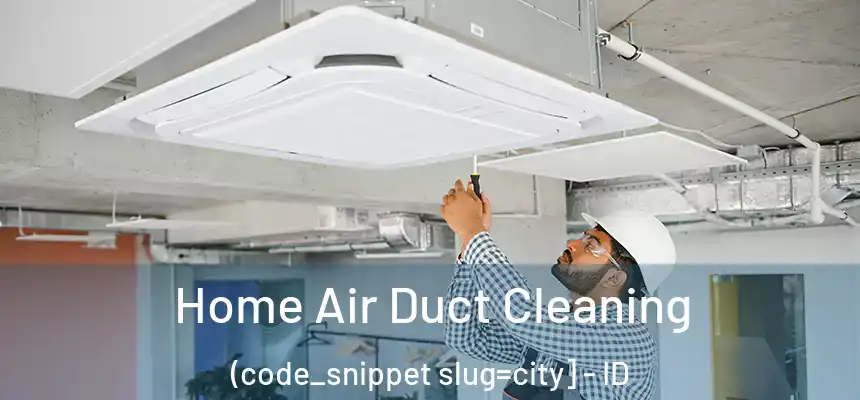  Home Air Duct Cleaning (code_snippet slug=city] - ID