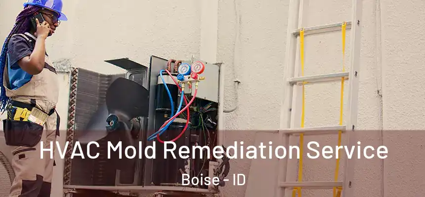  HVAC Mold Remediation Service Boise - ID