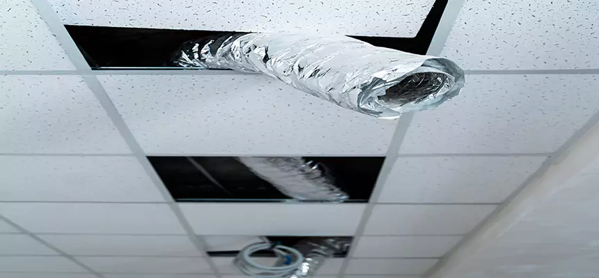 Affordable HVAC Sanitizing After Pest Removal in Boise