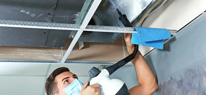 Our Air Duct Rodent Removal Services in Boise, ID