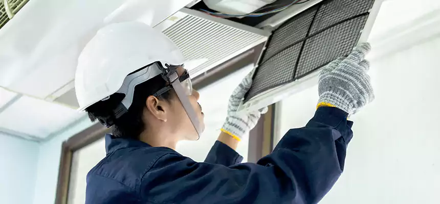 Our Mold & Mildew Removal from Air Ducts Services in Boise, ID