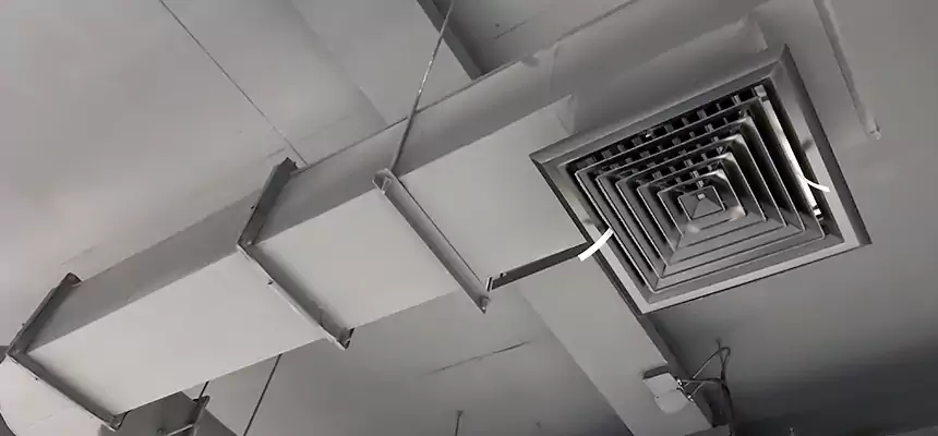 Our Pest Removal From Ducts Services in Boise, ID