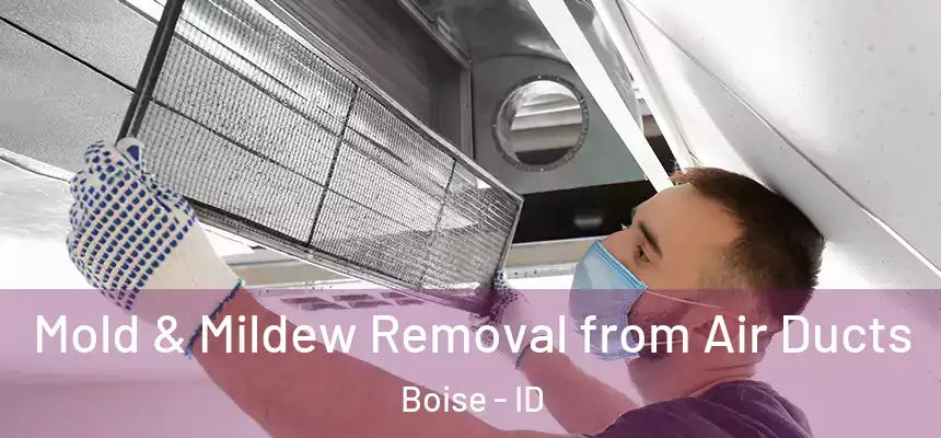 Mold & Mildew Removal from Air Ducts Boise - ID