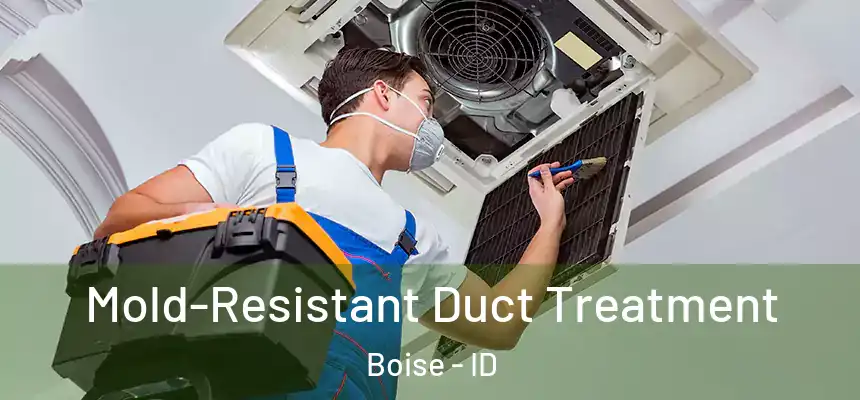  Mold-Resistant Duct Treatment Boise - ID