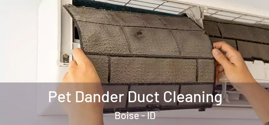  Pet Dander Duct Cleaning Boise - ID