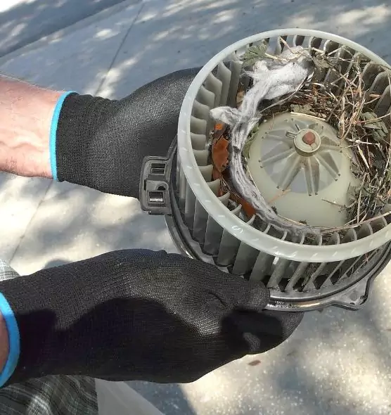 About Air Duct Mice Removal in Boise, ID