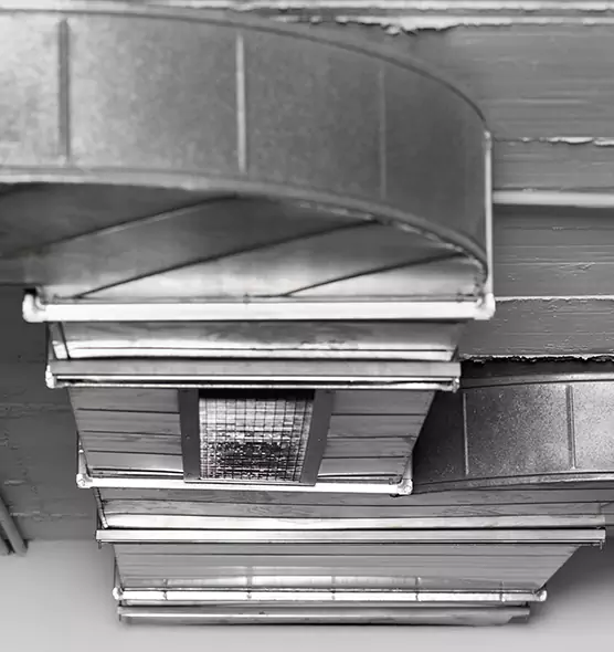 Professional Air Duct Pet Hair Removal in Boise, ID