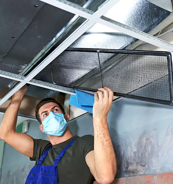 Professional Air Duct Pollen Cleaning in Boise, ID