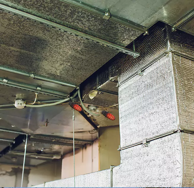 Why Homeowners & Businesses Trust Us Boise, ID?